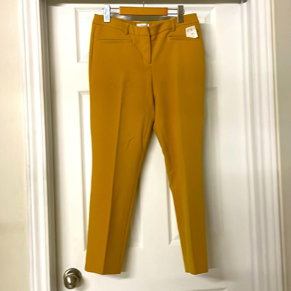 Dress pants